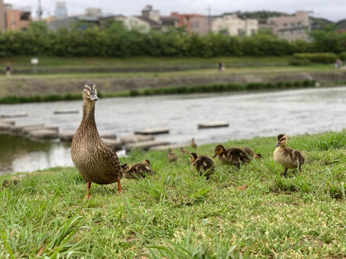 鴨川 栄の屋 Kamo River Machiya Halo House Kyōto Esterno foto